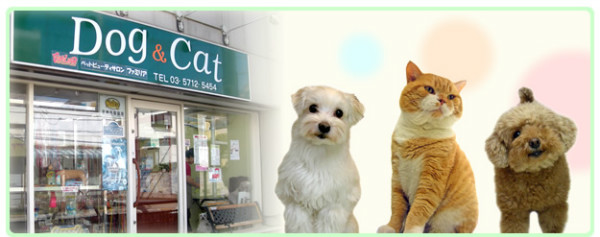 ファミリアは東京都世田谷区のペットサロンです。ペット美容、ペットホテル、仔犬・仔猫の販売、グッズの販売又、ペットの送迎もしています。