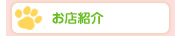 お店紹介