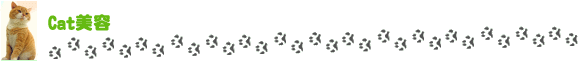 Cat美容